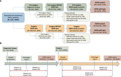 Diagnostic-Therapeutic Pathway and Outcomes of Early Stage NSCLC: a Focus on EGFR Testing in the Real-World